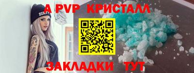 индика Гай