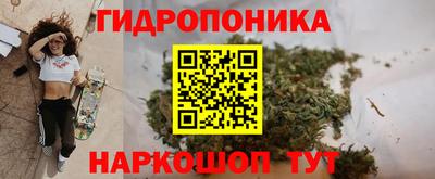 ALPHA-PVP Гатчина
