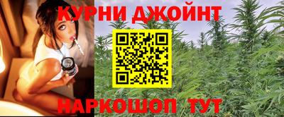 индика Гай