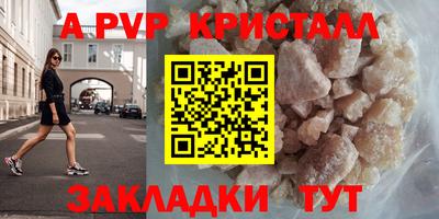 индика Гай